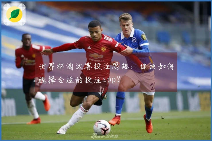 世界杯淘汰赛投注思路，你该如何选择合适的投注app？